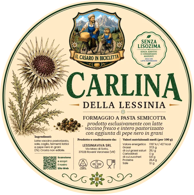 Carlina