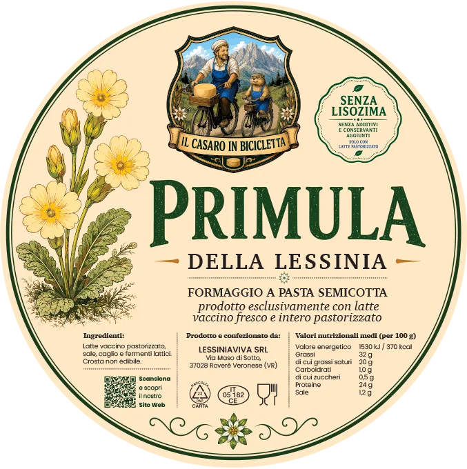 Primula